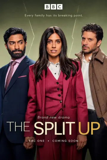 Plakat do serialu "The Split Up" #1782371