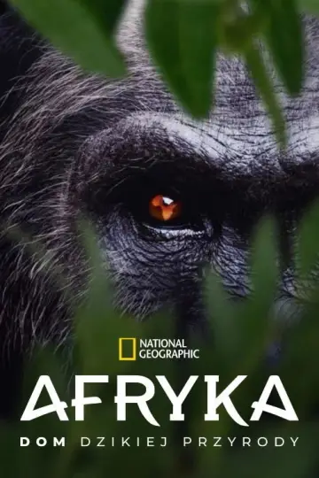 Afryka: dom dzikiej przyrody plakat