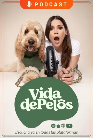 Vida de pelos plakat