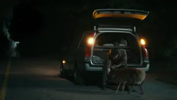 Zasłona к сериалу "Hannibal" #1306112