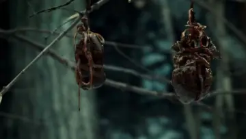 Zasłona к сериалу "Hannibal" #1306178