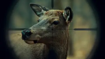 Zasłona к сериалу "Hannibal" #1306188