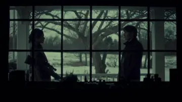 Zasłona к сериалу "Hannibal" #1306219