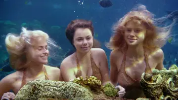 Zasłona к сериалу "Mako Mermaids: Syreny z Mako" #1405546
