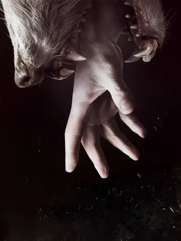 Plakat к сериалу "Hemlock Grove" #1378951