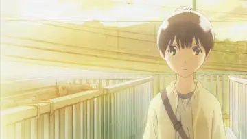 Zasłona к сериалу "Hourou Musuko" #1401901