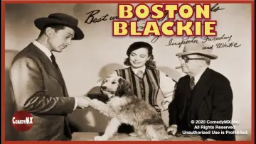 Zasłona do serialu "Boston Blackie" #1537957