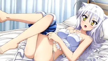 Zasłona к сериалу "Dog Days" #1414427