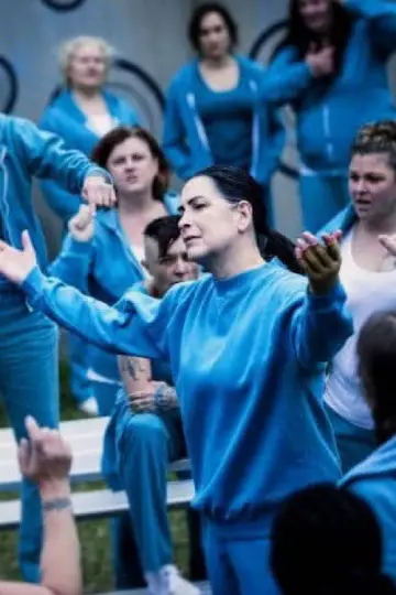 Plakat к сериалу "Wentworth. Więzienie dla kobiet" #1354898