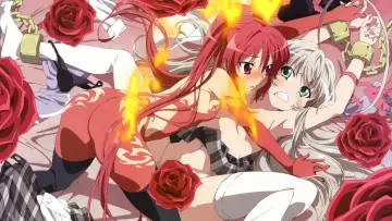 Zasłona do serialu "Haiyore! Nyaruko-san" #1596695