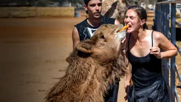 Zasłona к сериалу "The Amazing Race Australia" #1504966