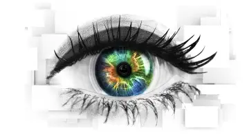 Zasłona к сериалу "Celebrity Big Brother" #1365125