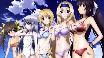 Zasłona к сериалу "IS: Infinite Stratos" #1391430