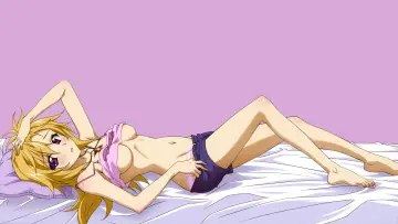 Zasłona к сериалу "IS: Infinite Stratos" #1391431