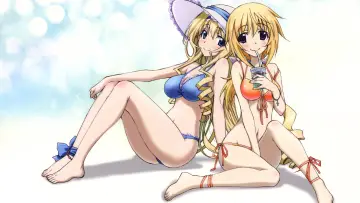 Zasłona к сериалу "IS: Infinite Stratos" #1391432
