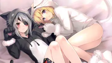 Zasłona к сериалу "IS: Infinite Stratos" #1391434