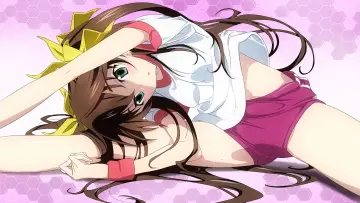 Zasłona к сериалу "IS: Infinite Stratos" #1391436