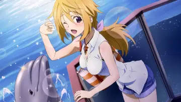 Zasłona к сериалу "IS: Infinite Stratos" #1391437