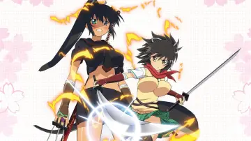 Zasłona к сериалу "Senran Kagura" #1442368