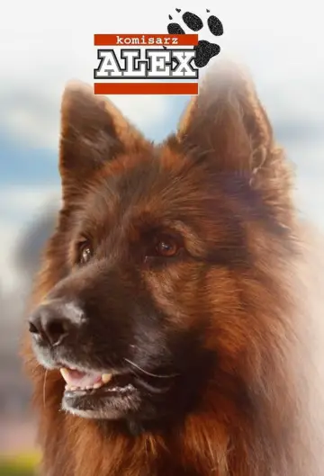 Plakat do serialu "Komisarz Alex" #1654605