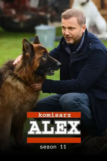 Sezon 11