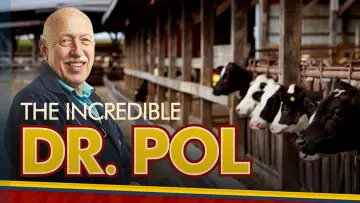 Zasłona к сериалу "Niezwykły dr Pol" #1415050