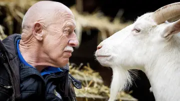 Zasłona к сериалу "Niezwykły dr Pol" #1415055
