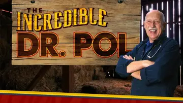 Zasłona к сериалу "Niezwykły dr Pol" #1415059