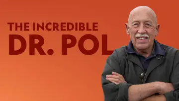 Zasłona к сериалу "Niezwykły dr Pol" #1415068