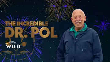 Zasłona к сериалу "Niezwykły dr Pol" #1415069