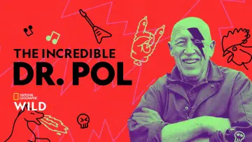 Zasłona к сериалу "Niezwykły dr Pol" #1415070