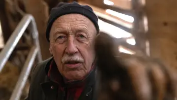 Zasłona к сериалу "Niezwykły dr Pol" #1415072