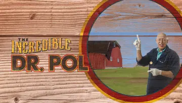 Zasłona к сериалу "Niezwykły dr Pol" #1415074