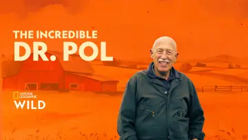Zasłona к сериалу "Niezwykły dr Pol" #1415075
