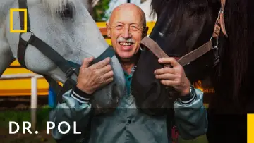 Zasłona к сериалу "Niezwykły dr Pol" #1415076