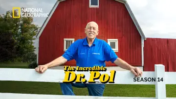 Zasłona к сериалу "Niezwykły dr Pol" #1415077