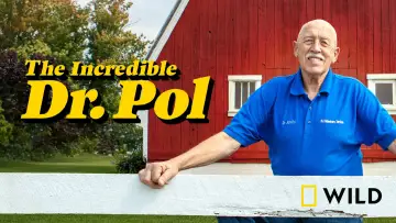 Zasłona к сериалу "Niezwykły dr Pol" #1415078