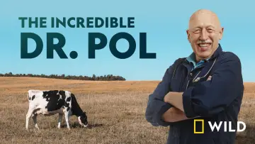 Zasłona к сериалу "Niezwykły dr Pol" #1415079