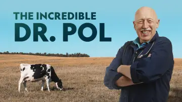 Zasłona к сериалу "Niezwykły dr Pol" #1415081