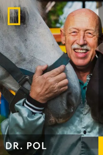 Plakat к сериалу "Niezwykły dr Pol" #1415098