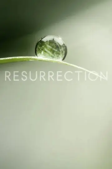 Plakat к сериалу "Resurrection" #1451039