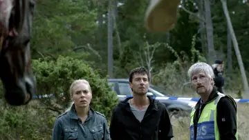 Zasłona к сериалу "Maria Wern" #1504948