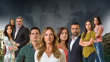 Czarna róża plakat