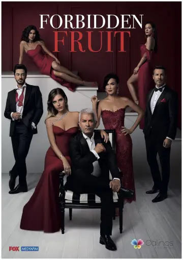 Plakat do serialu "Yasak Elma" #1357150