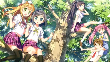 Zasłona к сериалу "Hentai Ouji to Warawanai Neko" #1435769
