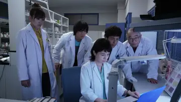 科捜研の女 plakat