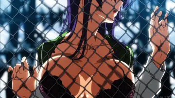 Zasłona к сериалу "Highschool of the Dead" #1351537