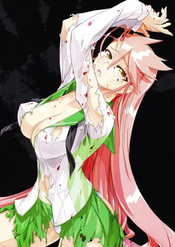 Plakat do serialu "Highschool of the Dead" #1657406