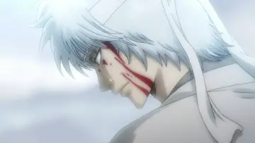 Zasłona к сериалу "Gintama" #1419753