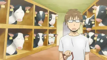 Zasłona do serialu "Gin no Saji" #1691393